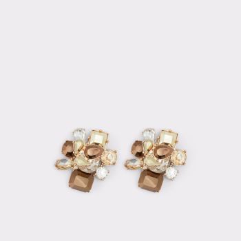 Bronze Aldo Malamocco Women's Earrings | qVqd8KGW