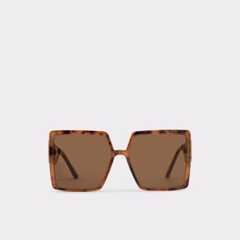 Brown Aldo Annerelia Women's Sunglasses | RlIsSRpL