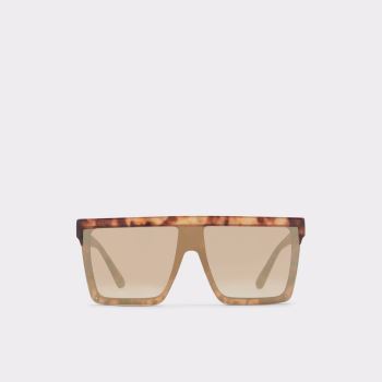 Brown Aldo Brightside Women's Sunglasses | fvACQpwn