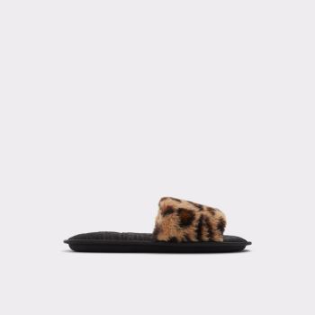 Brown Aldo Feari Women's Slippers | d5bmZ10r