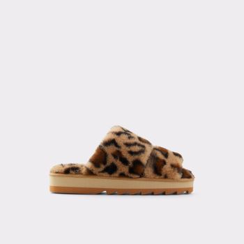 Brown Aldo Gaismas Women's Slippers | jNdu7E6U