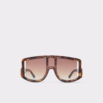 Brown Aldo Javabriclya Women's Sunglasses | quuPFhXk