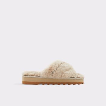 Brown Aldo Onaretlan Women's Slippers | XYHsE2em