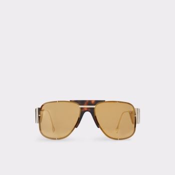 Brown Aldo Qei Women's Sunglasses | KKgTVEMV