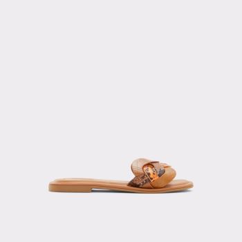 Brown Multi Aldo Adwilaviel Women's Flat Sandals | aNzdMshH