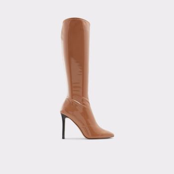 Dark Beige Aldo Edigorwen Women's Boots | uXSJS2Un