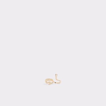 Gold Aldo Encarna Women's Accessories | 1YCKXflK