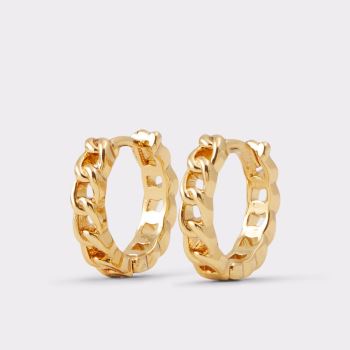 Gold Aldo Wylenandar Women's Earrings | GA20A4qs