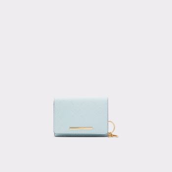 Light Blue Aldo Iconipouch Women's Wallets | 5VYiTT2z