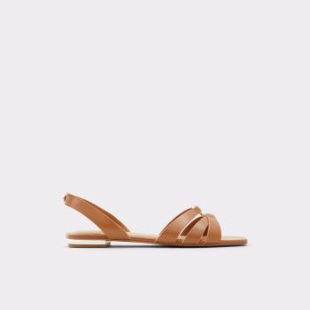 Medium Brown Aldo Marassi Women's Flat Sandals | fpac42DG