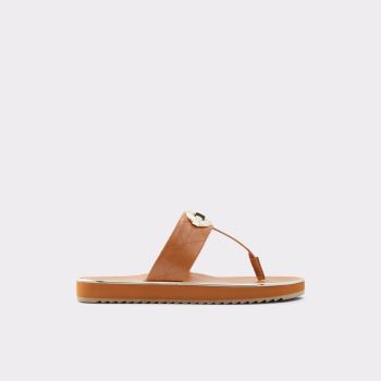 Medium Brown Aldo Searene Women's Flat Sandals | KmdHDSJy