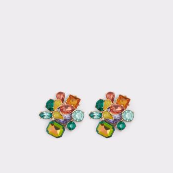 Multicolor Aldo Malamocco Women's Earrings | eNmKQLQT