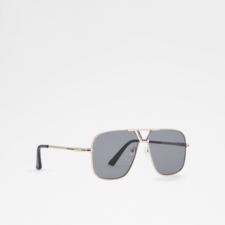 Black-Gold Multi Aldo Adrerarid Men's Sunglasses | d1JGy7sD