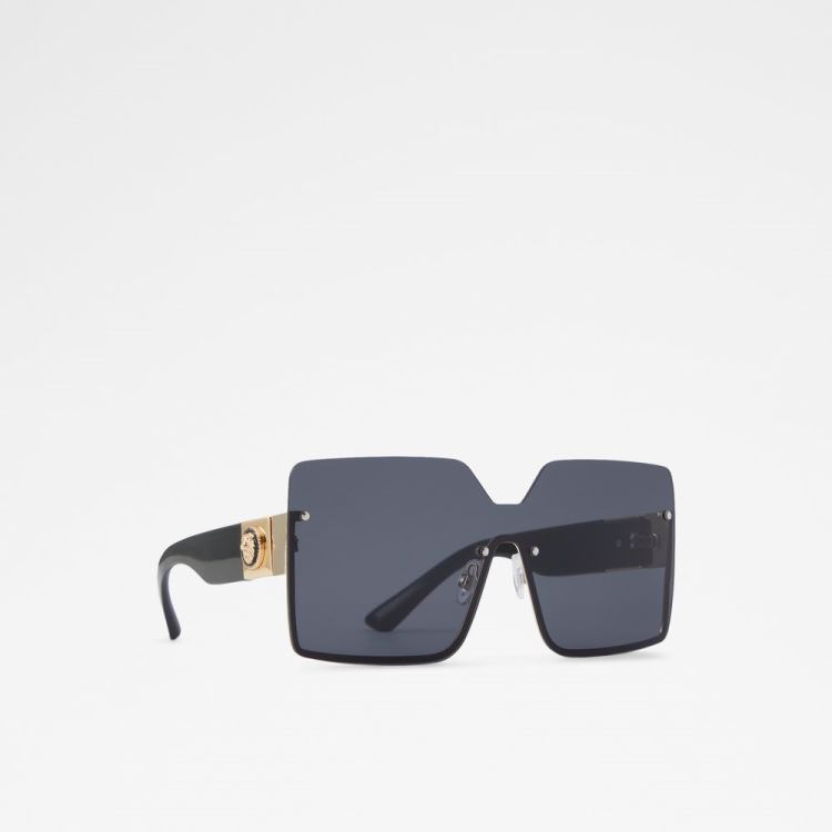 Black-Gold Multi Aldo Devanandra Women's Sunglasses | etbcvy4B