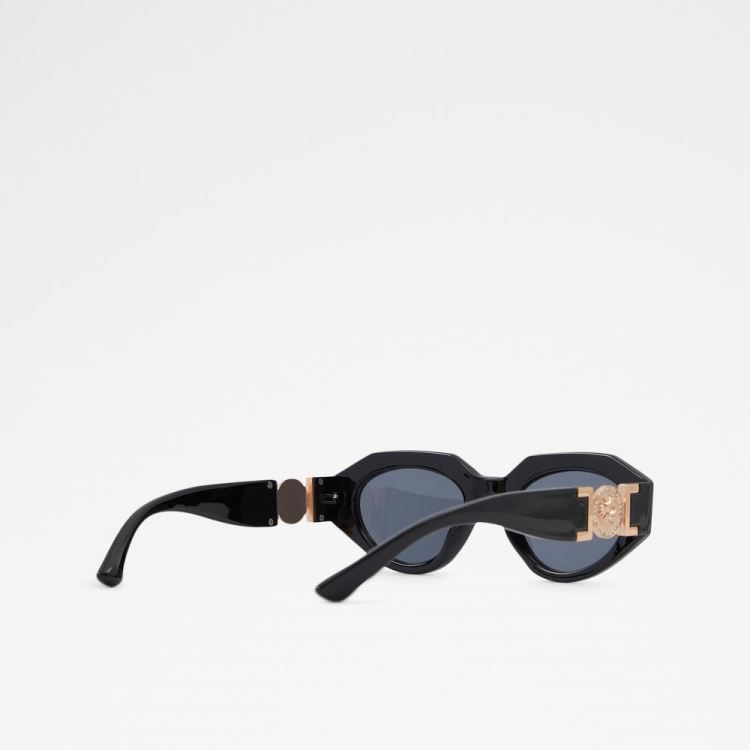 Black-Gold Multi Aldo Galoren Women's Sunglasses | dUGXRqlD