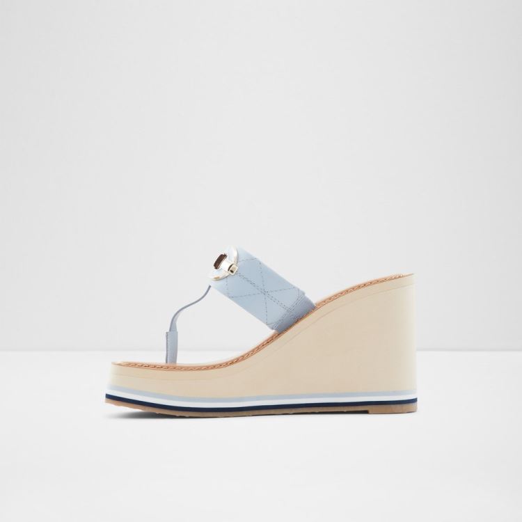 Blue Aldo Sunseek Women's Platform Shoes | kGMgpFzT