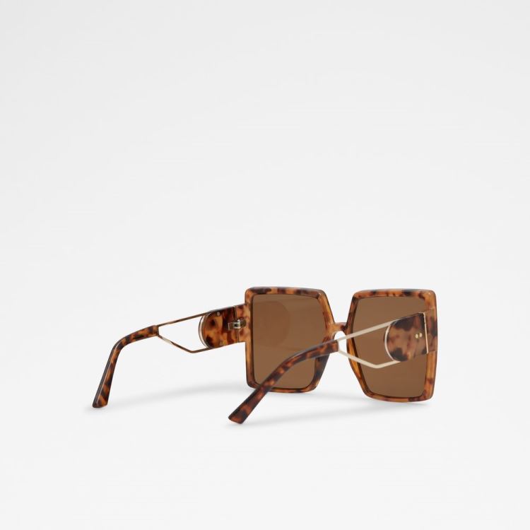 Brown Aldo Annerelia Women's Sunglasses | RlIsSRpL