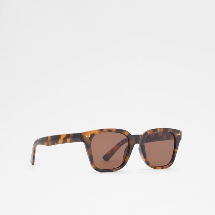 Brown Aldo Brachium Men's Sunglasses | h3dJ2Poh