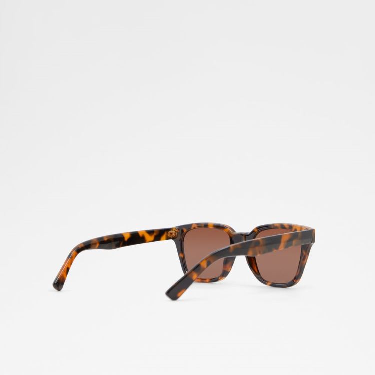 Brown Aldo Brachium Men's Sunglasses | h3dJ2Poh