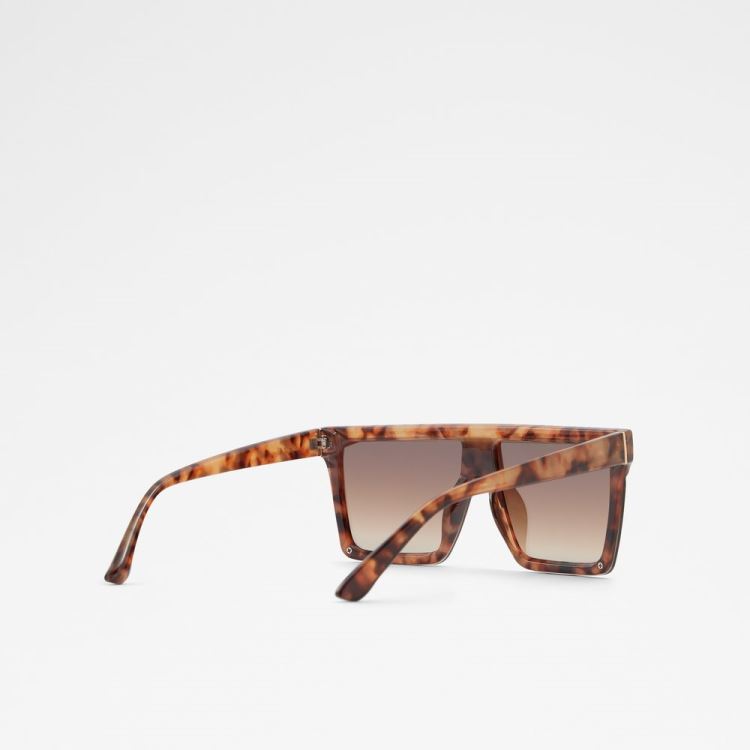 Brown Aldo Brightside Women's Sunglasses | fvACQpwn