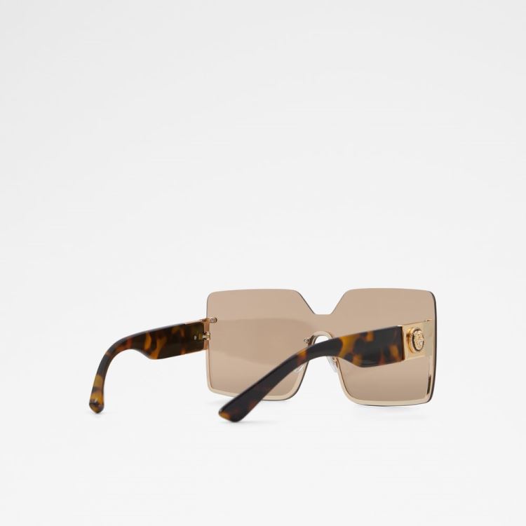 Brown Aldo Devanandra Women's Sunglasses | CWIYuNLk