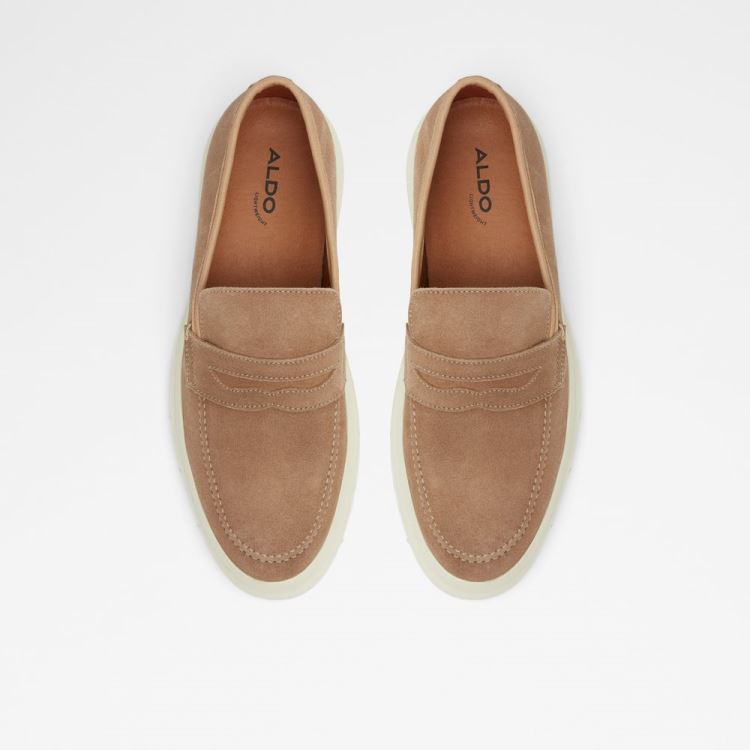 Brown Aldo Droarien Men's Loafers | JnmzQ6eM