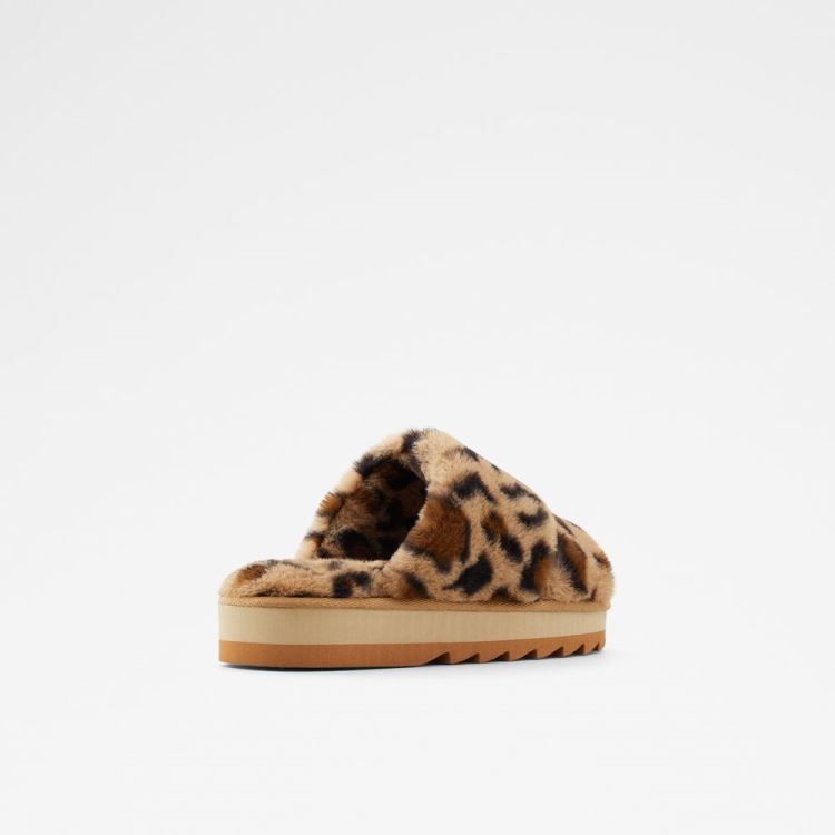 Brown Aldo Gaismas Women's Slippers | jNdu7E6U