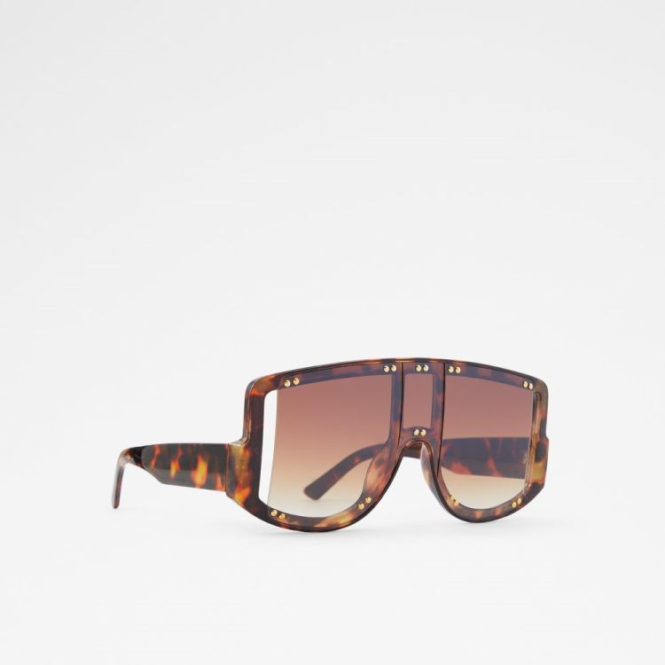 Brown Aldo Javabriclya Women's Sunglasses | quuPFhXk