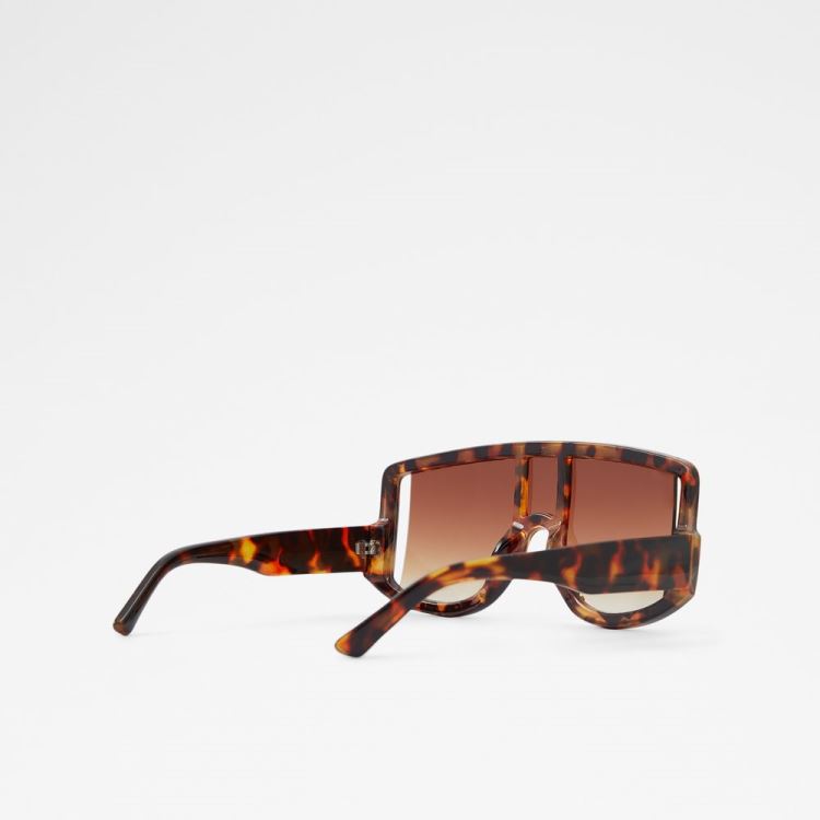 Brown Aldo Javabriclya Women's Sunglasses | quuPFhXk