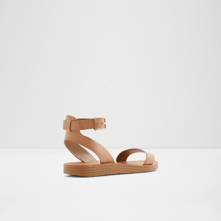 Brown Aldo Kedaredia Women's Flat Sandals | L8ZNdQtP