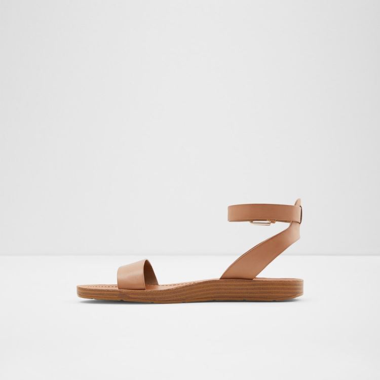 Brown Aldo Kedaredia Women's Flat Sandals | L8ZNdQtP