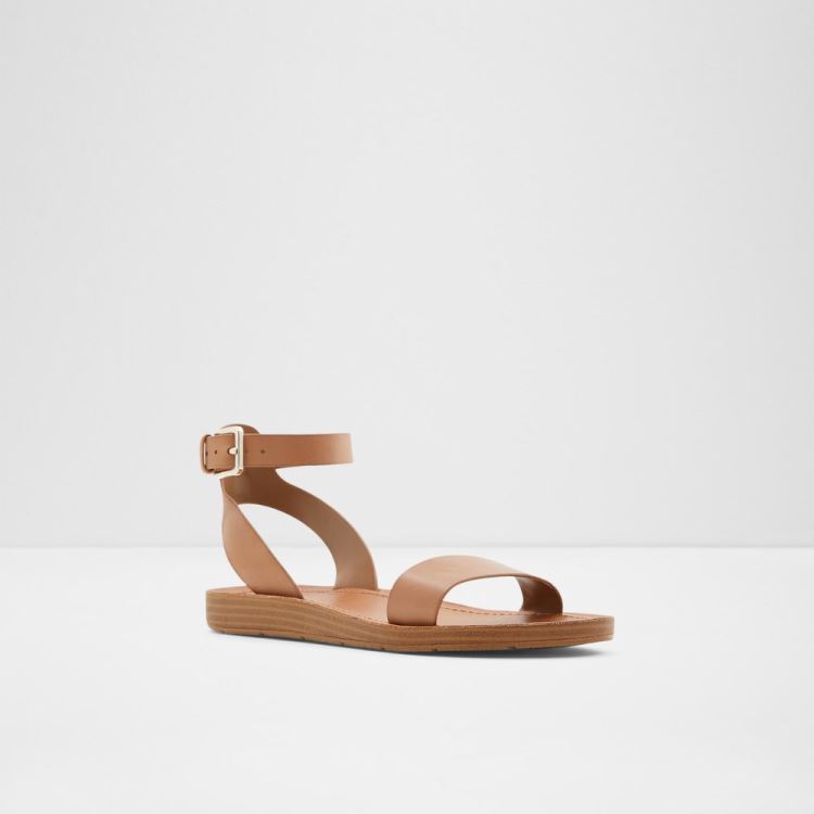 Brown Aldo Kedaredia Women's Flat Sandals | L8ZNdQtP