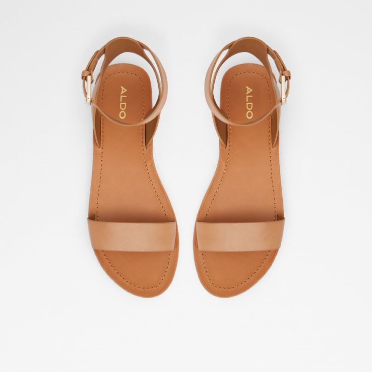 Brown Aldo Kedaredia Women's Flat Sandals | L8ZNdQtP