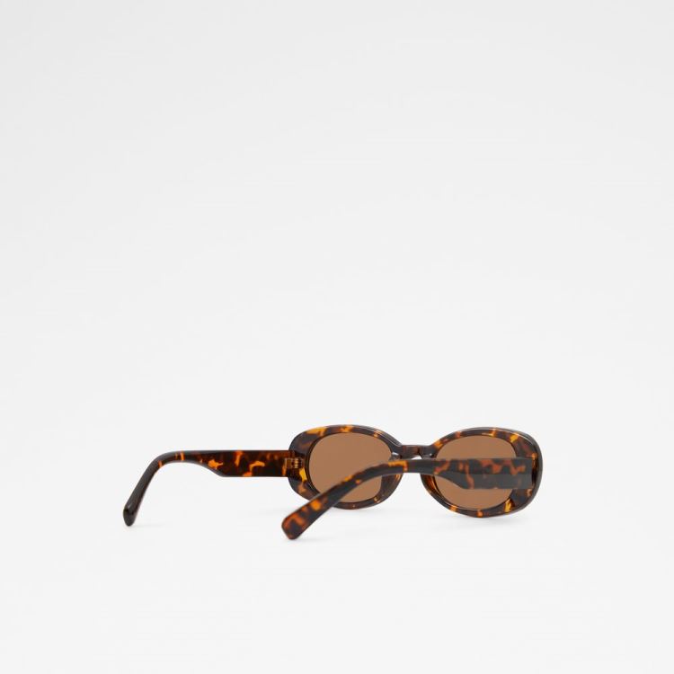 Brown Aldo Onoren Women's Sunglasses | W9S4nKsY