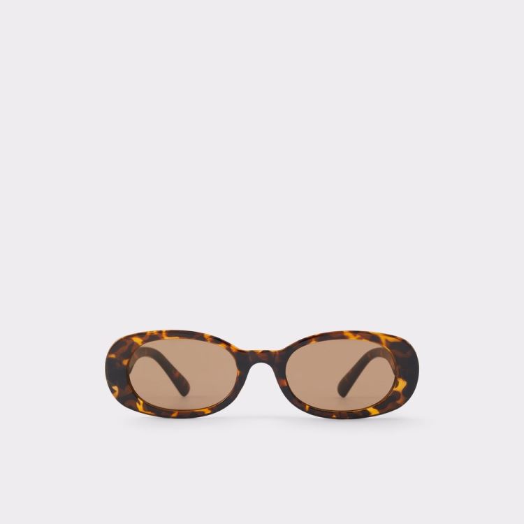 Brown Aldo Onoren Women\'s Sunglasses | W9S4nKsY