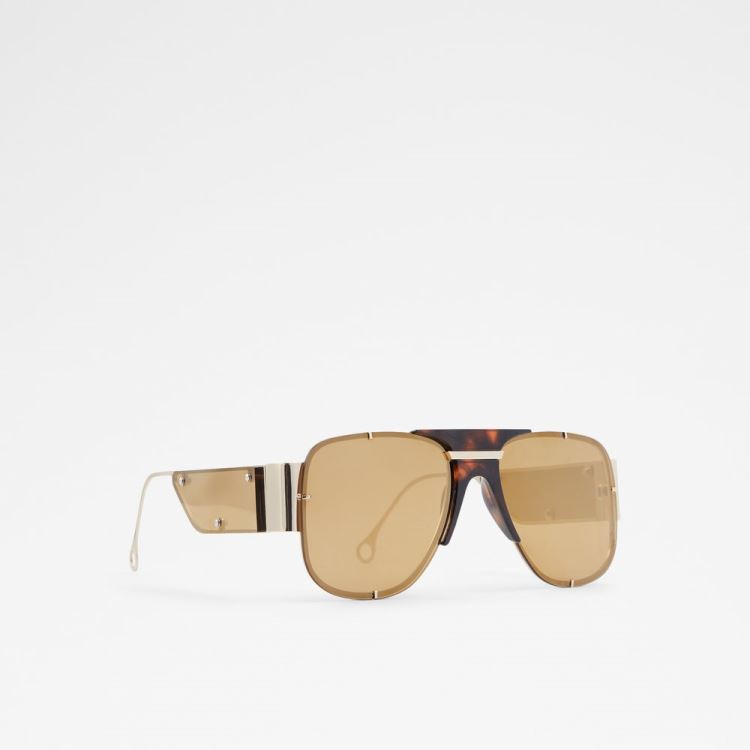 Brown Aldo Qei Women's Sunglasses | KKgTVEMV