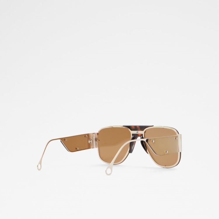 Brown Aldo Qei Women's Sunglasses | KKgTVEMV