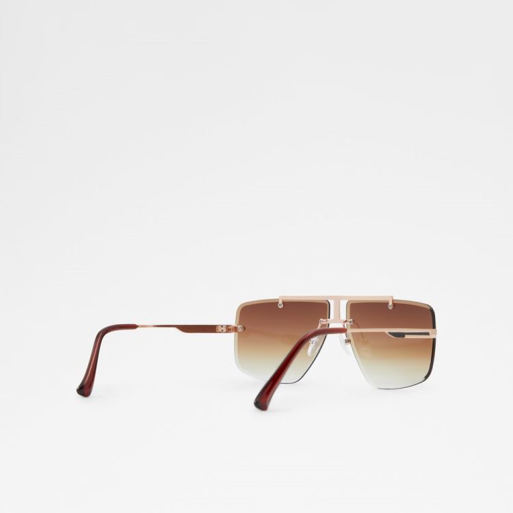 Brown Aldo Silikatu Men's Sunglasses | ARx2dAm0