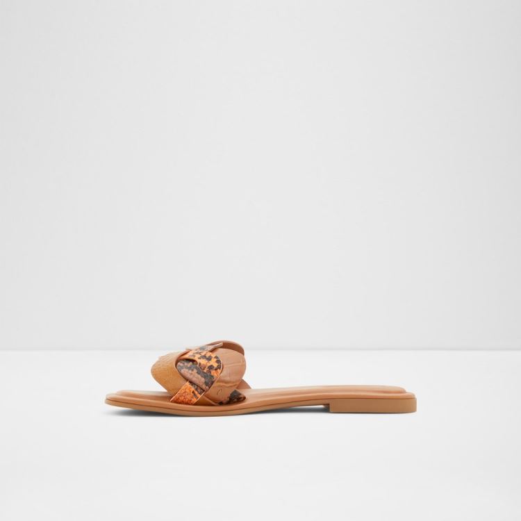 Brown Multi Aldo Adwilaviel Women's Flat Sandals | aNzdMshH