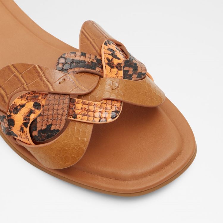 Brown Multi Aldo Adwilaviel Women's Flat Sandals | aNzdMshH