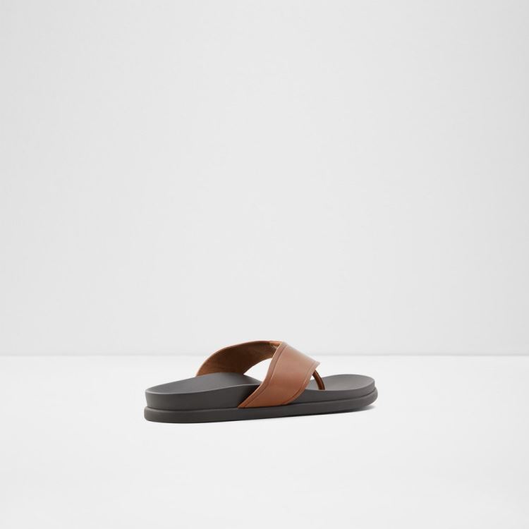 Cognac Aldo Afuthien Men's Sandals | oKYo16sG