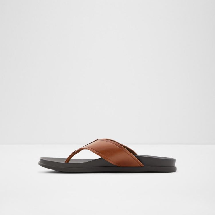 Cognac Aldo Afuthien Men's Sandals | oKYo16sG