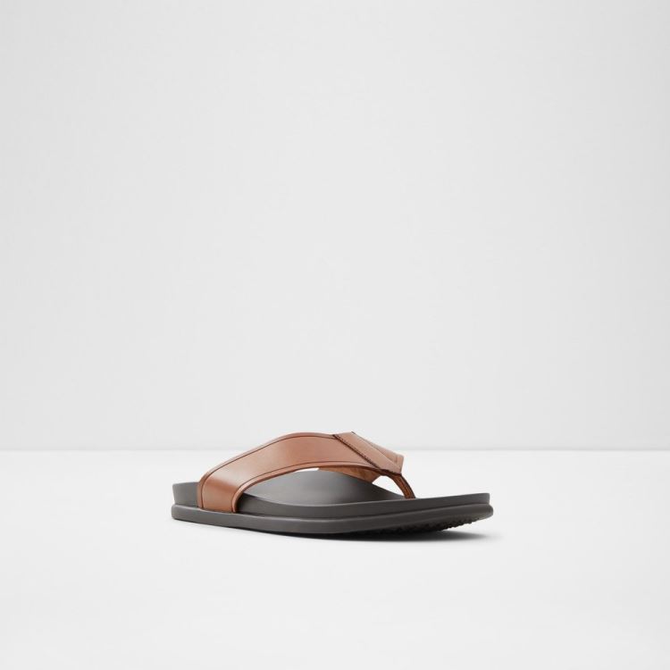 Cognac Aldo Afuthien Men's Sandals | oKYo16sG