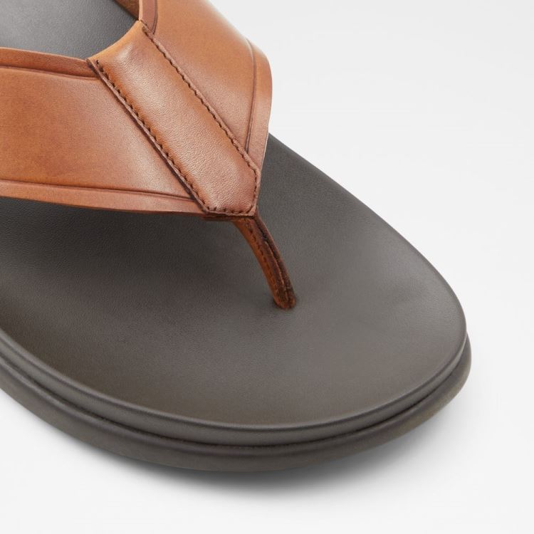 Cognac Aldo Afuthien Men's Sandals | oKYo16sG