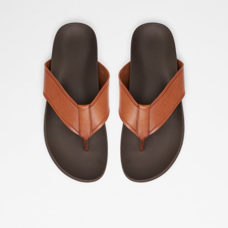 Cognac Aldo Afuthien Men's Sandals | oKYo16sG