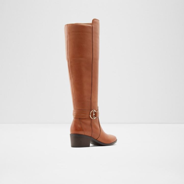 Cognac Aldo Amby Women's Boots | q0v1jK03