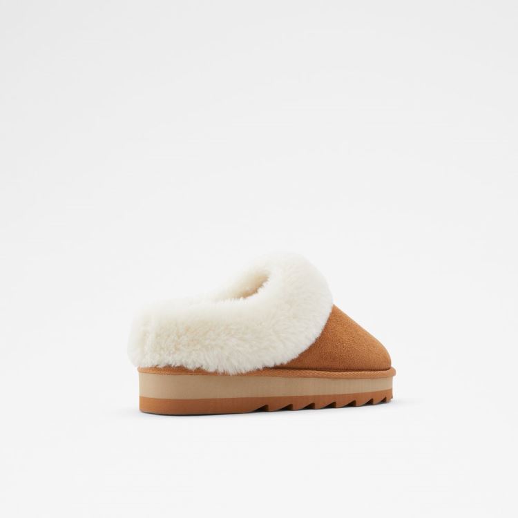 Cognac Aldo Ethaynad Women's Slippers | Nw6EUIpl