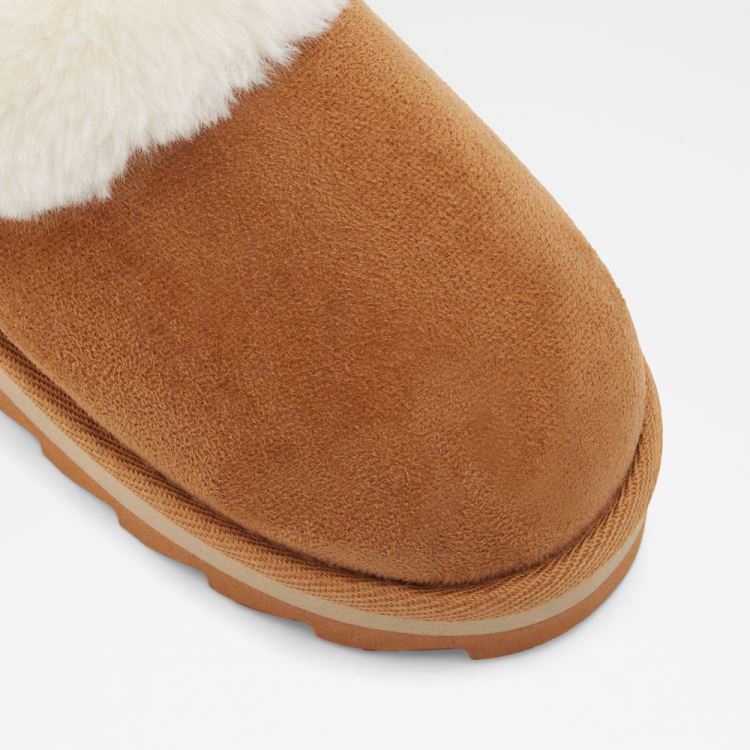 Cognac Aldo Ethaynad Women's Slippers | Nw6EUIpl