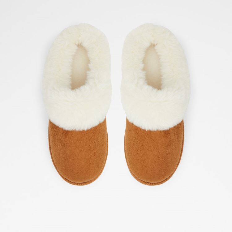 Cognac Aldo Ethaynad Women's Slippers | Nw6EUIpl