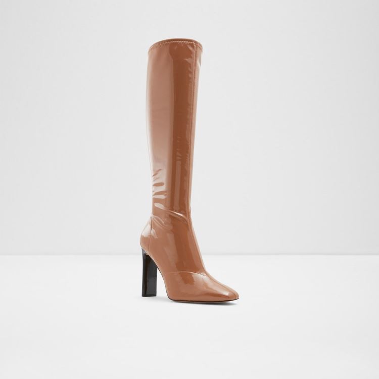 Dark Beige Aldo Edigorwen Women's Boots | uXSJS2Un